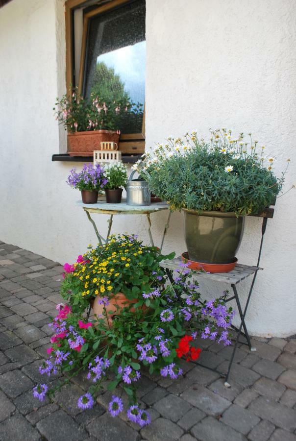 Homestay Cozy Room Маркдорф Екстериор снимка